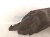 2024 Nissan Altima Rear Driver Inner Fender Liner 76749 6CA0A Replacement 2024 Nissan Altima Rear Driver Inner Fender Liner 76749 6CA0A Replacement thumbnail