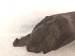 2024 Nissan Altima Rear Driver Inner Fender Liner 76749 6CA0A Replacement 2024 Nissan Altima Rear Driver Inner Fender Liner 76749 6CA0A Replacement thumbnail