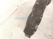 2021 Honda CR V Front Passenger Inner Fender Liner Hybrid 74100 TPG A00 Replacement 2021 Honda CR V Front Passenger Inner Fender Liner Hybrid 74100 TPG A00 Replacement thumbnail