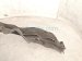 2021 Honda CR V Front Passenger Inner Fender Liner Hybrid 74100 TPG A00 Replacement 2021 Honda CR V Front Passenger Inner Fender Liner Hybrid 74100 TPG A00 Replacement thumbnail