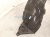 2021 Honda CR V Front Passenger Inner Fender Liner Hybrid 74100 TPG A00 Replacement 2021 Honda CR V Front Passenger Inner Fender Liner Hybrid 74100 TPG A00 Replacement thumbnail