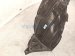 2021 Honda CR V Front Passenger Inner Fender Liner Hybrid 74100 TPG A00 Replacement 2021 Honda CR V Front Passenger Inner Fender Liner Hybrid 74100 TPG A00 Replacement thumbnail