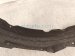 2021 Honda CR V Front Driver Inner Fender Liner 74150 TPG A00 Replacement 2021 Honda CR V Front Driver Inner Fender Liner 74150 TPG A00 Replacement thumbnail