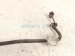 2025 Subaru Outback Legacy Rear Stabilizer / Sway Bar W/links 20451AN01C Replacement 2025 Subaru Outback Legacy Rear Stabilizer / Sway Bar W/links 20451AN01C Replacement thumbnail