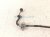 2025 Subaru Outback Legacy Rear Stabilizer / Sway Bar W/links 20451AN01C Replacement 2025 Subaru Outback Legacy Rear Stabilizer / Sway Bar W/links 20451AN01C Replacement thumbnail