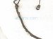 2024 Ford Mustang Cruise Control Wiring Harness PR3T 15K867 AC Replacement 2024 Ford Mustang Cruise Control Wiring Harness PR3T 15K867 AC Replacement thumbnail