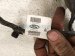 2024 Ford Mustang Cruise Control Wiring Harness PR3T 15K867 AC Replacement 2024 Ford Mustang Cruise Control Wiring Harness PR3T 15K867 AC Replacement thumbnail