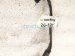 2024 Ford Mustang Cruise Control Wiring Harness PR3T 15K867 AC Replacement 2024 Ford Mustang Cruise Control Wiring Harness PR3T 15K867 AC Replacement thumbnail