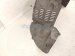 2015 Lexus Rx450h Front Passenger Inner Fender Liner Hybrid 53805 0E100 Replacement 2015 Lexus Rx450h Front Passenger Inner Fender Liner Hybrid 53805 0E100 Replacement thumbnail