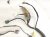 2023 Nissan Murano Front Passenger Door Wire Harness 24124 9UH7A Replacement 2023 Nissan Murano Front Passenger Door Wire Harness 24124 9UH7A Replacement thumbnail