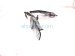 2024 Ford Mustang Driver Hood Hinge Black PR3Z 16797 A Replacement 2024 Ford Mustang Driver Hood Hinge Black PR3Z 16797 A Replacement thumbnail