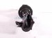 2026 Subaru Forester Front Passenger Strut Absorber + Spring 20310SL000 Replacement 2026 Subaru Forester Front Passenger Strut Absorber + Spring 20310SL000 Replacement thumbnail