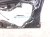2016 Honda Civic Front Passenger Door Blue No Mirror/trim 67010 TBA A00ZZ Replacement 2016 Honda Civic Front Passenger Door Blue No Mirror/trim 67010 TBA A00ZZ Replacement thumbnail