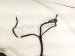 2019 Chrysler 300 Front Passenger Door Wiring Harness 68409480AC Replacement 2019 Chrysler 300 Front Passenger Door Wiring Harness 68409480AC Replacement thumbnail