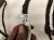2019 Chrysler 300 Front Passenger Door Wiring Harness 68409480AC Replacement 2019 Chrysler 300 Front Passenger Door Wiring Harness 68409480AC Replacement thumbnail