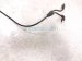 2020 Mercedes S560 Rear Driver Abs Wheel Speed Sensor 222 905 99 05 Replacement 2020 Mercedes S560 Rear Driver Abs Wheel Speed Sensor 222 905 99 05 Replacement thumbnail