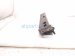 2014 Toyota Prius Crossmember Front Passenger Sub Frame Side Bracket 51107 12010 Replacement 2014 Toyota Prius Crossmember Front Passenger Sub Frame Side Bracket 51107 12010 Replacement thumbnail