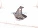 2023 Volkswagen Taos Front Passenger Headlight Mount Bracket 2GJ 805 932 A Replacement 2023 Volkswagen Taos Front Passenger Headlight Mount Bracket 2GJ 805 932 A Replacement thumbnail