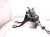 2024 Subaru WRX Brake + Clutch Pedal Assy 2.4l M.t 36009VC010 Replacement 2024 Subaru WRX Brake + Clutch Pedal Assy 2.4l M.t 36009VC010 Replacement thumbnail