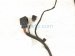 2023 Volkswagen Golf Gti Steering Gear Wiring Harness 5WB 971 111 AL Replacement 2023 Volkswagen Golf Gti Steering Gear Wiring Harness 5WB 971 111 AL Replacement thumbnail