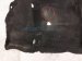 2006 Honda S2000 Ground Front Driver Floor Carpet Black 83352 S2A A03ZA Replacement 2006 Honda S2000 Ground Front Driver Floor Carpet Black 83352 S2A A03ZA Replacement thumbnail