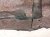 2006 Honda S2000 Ground Front Passenger Floor Carpet Black 83302 S2A A61ZB Replacement 2006 Honda S2000 Ground Front Passenger Floor Carpet Black 83302 S2A A61ZB Replacement thumbnail