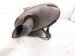 2024 Nissan Altima Driver Rear Exhaust Muffler 2.5l Fwd 20110 6CA0A Replacement 2024 Nissan Altima Driver Rear Exhaust Muffler 2.5l Fwd 20110 6CA0A Replacement thumbnail