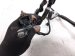 2025 Honda Civic Front Bumper Wire Harness 32130 T61 A00 Replacement 2025 Honda Civic Front Bumper Wire Harness 32130 T61 A00 Replacement thumbnail