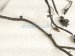 2020 Ford Explorer Rear Bumper Wiring Harness M1MZ 15K868 Q Replacement 2020 Ford Explorer Rear Bumper Wiring Harness M1MZ 15K868 Q Replacement thumbnail