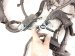 2022 Toyota Sienna Engine Room Wire Harness Hybrid 82111 08K71 Replacement 2022 Toyota Sienna Engine Room Wire Harness Hybrid 82111 08K71 Replacement thumbnail