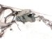 2022 Toyota Sienna Engine Room Wire Harness Hybrid 82111 08K71 Replacement 2022 Toyota Sienna Engine Room Wire Harness Hybrid 82111 08K71 Replacement thumbnail