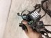 2024 Subaru Legacy Engine Room Harness W/fuse 2.5l Awd 81403AN51A Replacement 2024 Subaru Legacy Engine Room Harness W/fuse 2.5l Awd 81403AN51A Replacement thumbnail