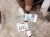 2024 Subaru Legacy Engine Room Harness W/fuse 2.5l Awd 81403AN51A Replacement 2024 Subaru Legacy Engine Room Harness W/fuse 2.5l Awd 81403AN51A Replacement thumbnail