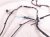 2018 Honda Accord Front End Wire Harness Lx 32130 TVA A00 Replacement 2018 Honda Accord Front End Wire Harness Lx 32130 TVA A00 Replacement thumbnail