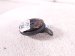 2019 Toyota Rav 4 Low Pitch Note Horn 86520 20300 Replacement 2019 Toyota Rav 4 Low Pitch Note Horn 86520 20300 Replacement thumbnail