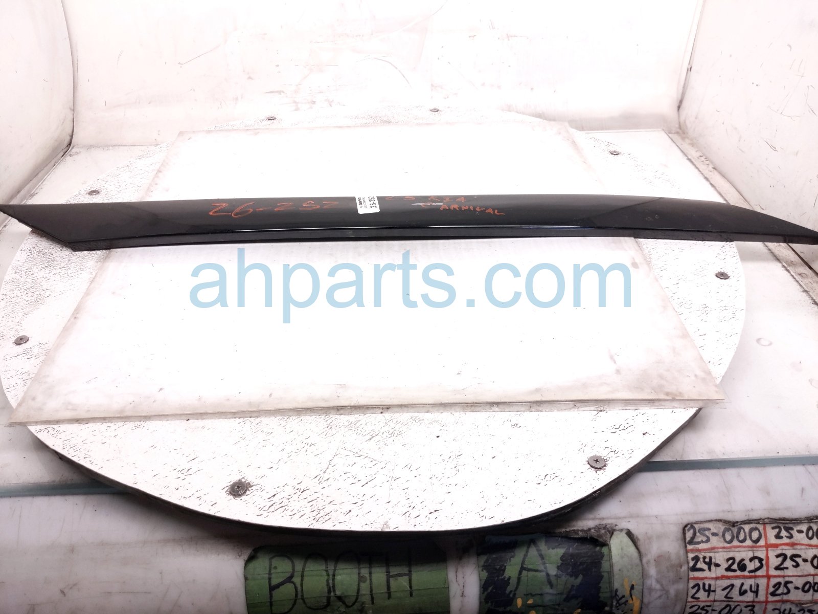 Driver OUTSIDE DOOR TRIM MOLDING