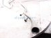 2022 Toyota Sienna Ac Hose Line A/c Suction Pipe & Liquid Pipe Assy 88710 08210 Replacement 2022 Toyota Sienna Ac Hose Line A/c Suction Pipe & Liquid Pipe Assy 88710 08210 Replacement thumbnail