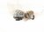 2024 Jeep Grand Cherokee Injector Exhaust Fuel Vapor Valve 3.6l 5281256AI Replacement 2024 Jeep Grand Cherokee Injector Exhaust Fuel Vapor Valve 3.6l 5281256AI Replacement thumbnail