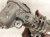 2024 Jeep Grand Cherokee Injector Exhaust Fuel Vapor Valve 3.6l 5281256AI Replacement 2024 Jeep Grand Cherokee Injector Exhaust Fuel Vapor Valve 3.6l 5281256AI Replacement thumbnail