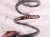 2018 Honda Accord Strut / / Shock Absorber Rear Passenger Coil Spring 1.5t 52441 TVA A12 Replacement 2018 Honda Accord Strut / / Shock Absorber Rear Passenger Coil Spring 1.5t 52441 TVA A12 Replacement thumbnail
