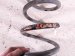 2018 Honda Accord Strut / / Shock Absorber Rear Passenger Coil Spring 1.5t 52441 TVA A12 Replacement 2018 Honda Accord Strut / / Shock Absorber Rear Passenger Coil Spring 1.5t 52441 TVA A12 Replacement thumbnail