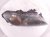 2006 Honda S2000 Headlight Passenger Headlamp / Light 33101 S2A A21 Replacement 2006 Honda S2000 Headlight Passenger Headlamp / Light 33101 S2A A21 Replacement thumbnail