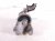 2026 Toyota Camry Engine/motor Front Driver Engine Mount 2.5l Fwd 12306 F0110 Replacement 2026 Toyota Camry Engine/motor Front Driver Engine Mount 2.5l Fwd 12306 F0110 Replacement thumbnail