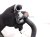 2015 Lexus Rx450h Ac A/c Line Hose Pipe 3.5l Awd 88707 48120 Replacement 2015 Lexus Rx450h Ac A/c Line Hose Pipe 3.5l Awd 88707 48120 Replacement thumbnail