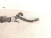 2015 Lexus Rx450h Gas / Fuel Filler Neck 3.5l Awd 77201 48262 Replacement 2015 Lexus Rx450h Gas / Fuel Filler Neck 3.5l Awd 77201 48262 Replacement thumbnail