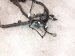 2020 Toyota Avalon Engine Room Wire Harness 2.5l Hyb 82111 07G61 Replacement 2020 Toyota Avalon Engine Room Wire Harness 2.5l Hyb 82111 07G61 Replacement thumbnail