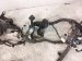 2020 Toyota Avalon Engine Room Wire Harness 2.5l Hyb 82111 07G61 Replacement 2020 Toyota Avalon Engine Room Wire Harness 2.5l Hyb 82111 07G61 Replacement thumbnail