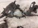 2020 Toyota Avalon Engine Room Wire Harness 2.5l Hyb 82111 07G61 Replacement 2020 Toyota Avalon Engine Room Wire Harness 2.5l Hyb 82111 07G61 Replacement thumbnail
