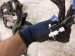 2020 Toyota Avalon Engine Room Wire Harness 2.5l Hyb 82111 07G61 Replacement 2020 Toyota Avalon Engine Room Wire Harness 2.5l Hyb 82111 07G61 Replacement thumbnail