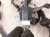 2020 Toyota Avalon Engine Room Wire Harness 2.5l Hyb 82111 07G61 Replacement 2020 Toyota Avalon Engine Room Wire Harness 2.5l Hyb 82111 07G61 Replacement thumbnail